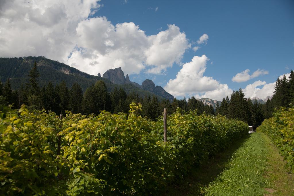 Agriturismo Soreie - Farmstay فيغو دي فاسا المظهر الخارجي الصورة